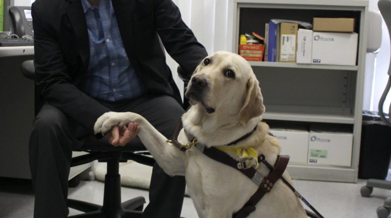 Photo of Gabriel Lopez Kafati with his guide dog Posh.