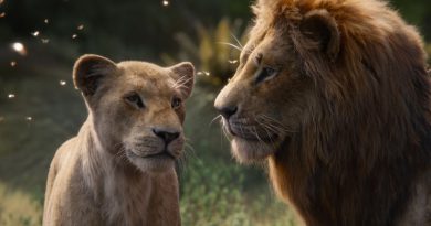 Scene from The Lion King.