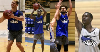 Collage of the four featured Sharks players.