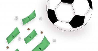 Soccer stadium illustration by Kaley Peniche.