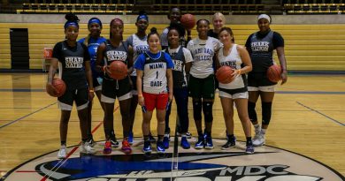 Lady Sharks