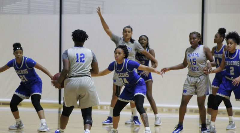 Lady Sharks on the court.